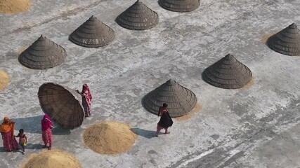 Dhaka, Bangladesh - 01 March 2025: Aerial view of vibrant rice terraces and farming, Bangladesh.