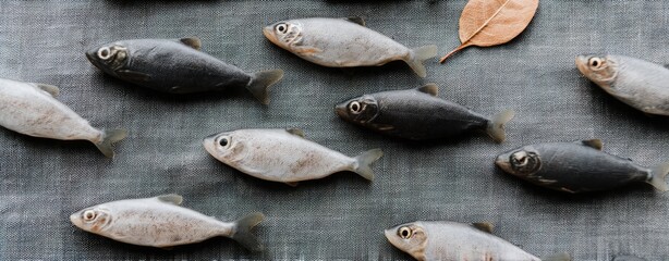 fisheries management concept Fresh Whole Fish Variety Flat Fish Seafood Diverse Fresh Raw Natural Healthy clean aquaculture facility