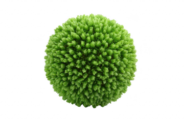 Sphere of Green Tufts
