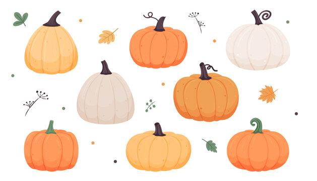 Autumn pumpkins in orange, white, and yellow tones with autumn leaves and twigs, fall harvest