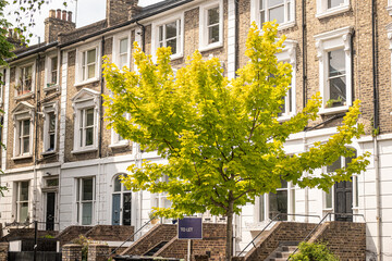 London terraced townhouses in Camden area, NW3 with To Let sign
