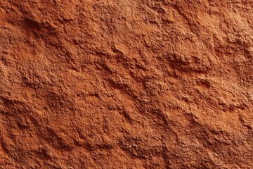 Textured red rock surface with rough, natural details.