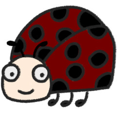 Fototapeta premium Ladybug