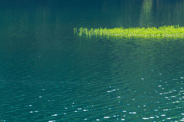 夏の日差しに輝く湖水01