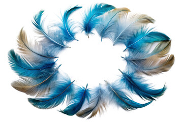 blue and white feather