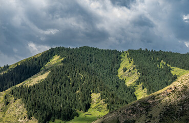 mountain landscape in the summer