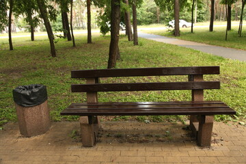 Ukraine. Kyiv. A bench in a summer park. There are many trees and bushes around.