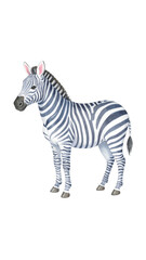 Obraz premium A standing zebra with striking black and white stripes.