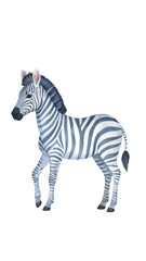 Obraz premium A colorful illustration of a lively zebra.