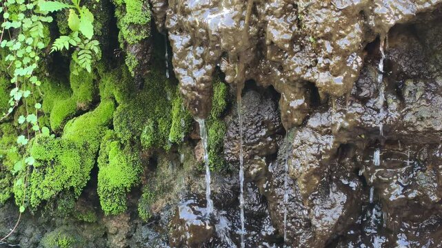 Mini waterfall like diorama in fish pool