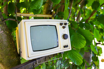 A small vintage television hangs from a tree branch amidst dense foliage, creating a surreal and...