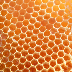 Golden honeycombs, filled with transparent honey, form a perfect hexagonal pattern. Each cell glows...