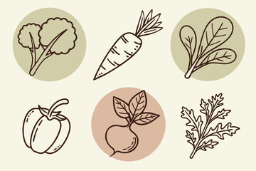 Outlined vegetables arranged in circles for a fresh and healthy theme