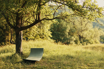 Serene green landscape with a minimalist curved bench under a tree, showcasing nature s tranquility...
