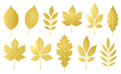 Collection of Elegant Golden Autumn Leaves with Detailed Textures, Isolated on a Transparent Background. Leaf Types in a Shiny Metallic Gold Style