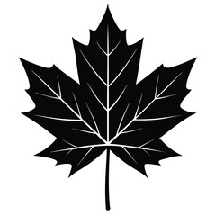 Obraz premium A single bold silhouette of a maple leaf, centered on a clean white background 