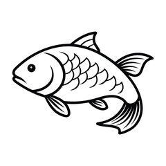 fish on a white background