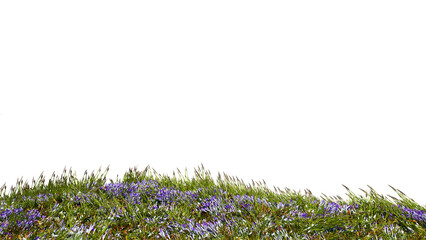 3d rendered mountain hill meadow crest, isolated on white background. Patch of green grass lands with white and blue flowers. 3d rendered field of wild flowers with grass.