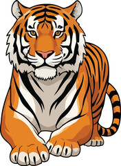 Fototapeta premium Striped tiger vector illustration of a dangerous wild animal, a feline predator with a striped head and fur on a white background