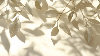 Clean cream colored background with leaf shadows, creates an elegant and natural atmosphere for product presentation, as a mockup template.