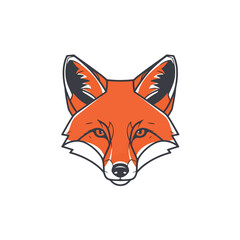 Red fox vector illustration