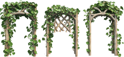 Three decorative garden arches covered in ivy