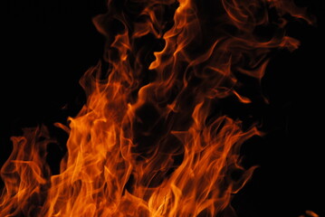 Orange fire flames in the night