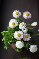 home flowers by the window high resolution.
