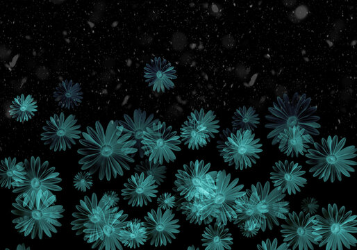 abstract black background with flowers or Teal Flowers on Black Background