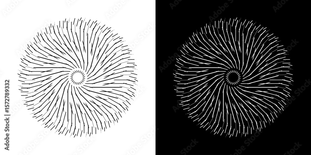 Fototapete abstract background with line pattern forming circle. spiral art design as logo or icon. black lines