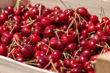 Fresh red sweet cherries in wooden crates prepared for sale on a market.