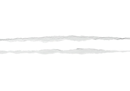 Two thin strips of torn white paper create a delicate texture against a clean, minimalist background isolated on transparent background