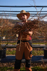 Male gardener working in a blueberries organic farm.