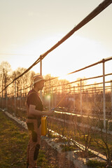 Farmer using pesticide, insecticide and herbicide sprayer sprinkler in an blueberries farm outdoors in springtime, before blooming.