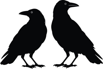 Fototapeta premium A Black Crow Silhouette Design On White Background, Crow Clipart Design