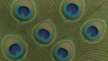 Obraz premium Vibrant peacock feather pattern
