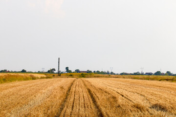 an agricultural field of wheat after it has been harvested