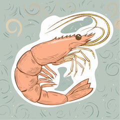 Hand drawn shrimp illustration. Doodle drawing of sea food. Line art sketch of sea animal. Vector scribble