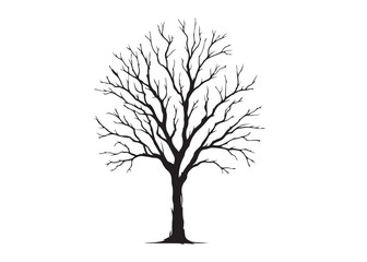 dry tree logo silhouette vector, dry tree logo icon, black dry tree silhouette vector illustration, old tree silhouette logo vector, winter trees logo silhouettes vector on a white background  © Adobe design