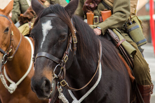 Soldiers riding horses in the ANZAC Day parade