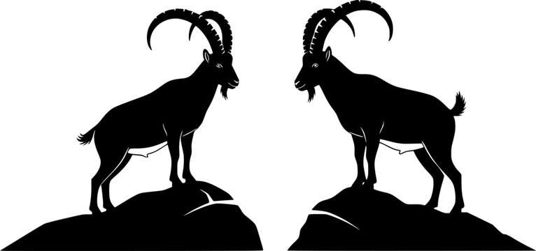 Two ibex silhouettes one standing on a rock the other on the ground in a black and white illustration editable vector