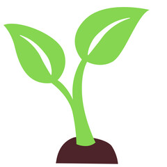 Young plant with vibrant green leaves, representing vitality and harmony with nature.