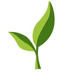 Vibrant green leaf growing from soil, symbolizing life and growth in nature.