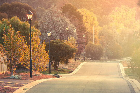 A residential street in afternoon sunshine