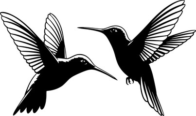 Fototapeta premium Two black hummingbird silhouettes in flight against a white background with detailed wing patterns editable vector