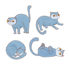Cute digital hand drawn cat illustrations set. Clip art or stickers with cat isolated on the white background. Different cartoon character scenes.