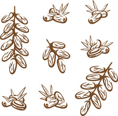 Herbal Plant and Leaf Vector Set – Organic, Natural, Herb, Botanical, Hand-Drawn, Wellness, Sketch, Tea, Spice, Ingredient, Garden, Plant-Based, Nature, Aroma, Leaf Design