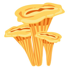 Vector drawing of chanterelle mushrooms in golden yellow tones. Ideal for recipe designs, foraging books, autumn cooking, and nature or forest-themed educational projects.