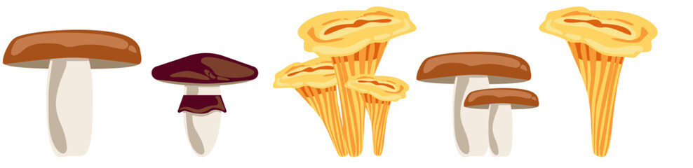 Vector set of edible forest mushrooms: suillus with a ring, flat-cap russula, and golden chanterelles. Ideal for autumn foraging themes, botanical illustration, or seasonal cooking design