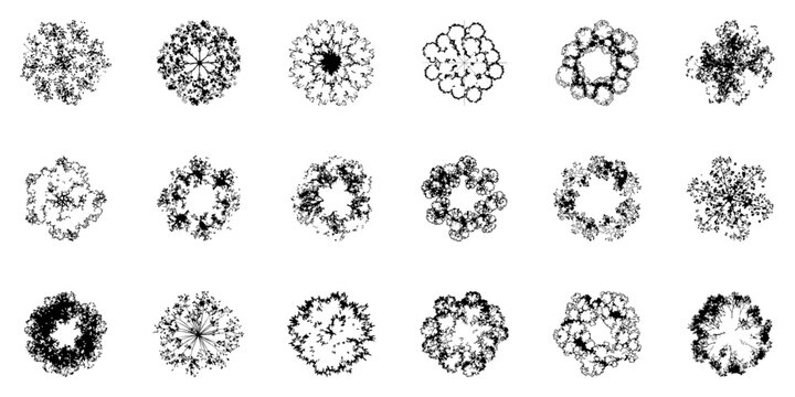 Abstract Black and White Tree Top View Silhouettes Set. Landscape Architecture and Garden Planning Design Collection. Organic and Aesthetic Visualization. Isolated Vector Illustration